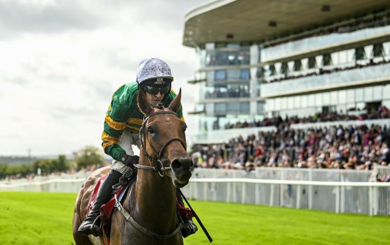 Cheltenham losers could turn the tables at Punchestown this year