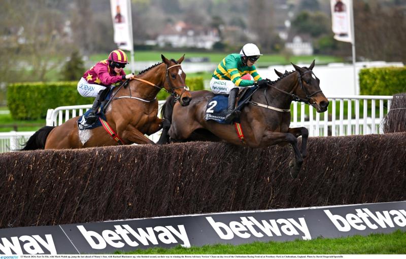 LIVE: Punchestown 2024 results and tips live from the course