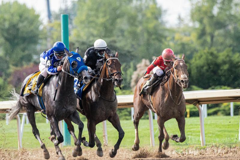 18–34-year-olds driving force behind increased horse racing attendance