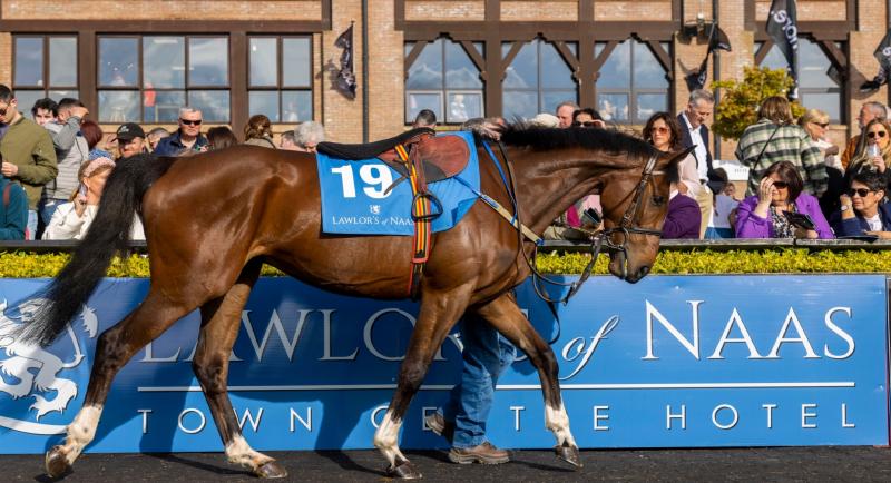 Punchestown: Lawlor's Of Naas sponsor €100,000 Listed Handicap Hurdle 
