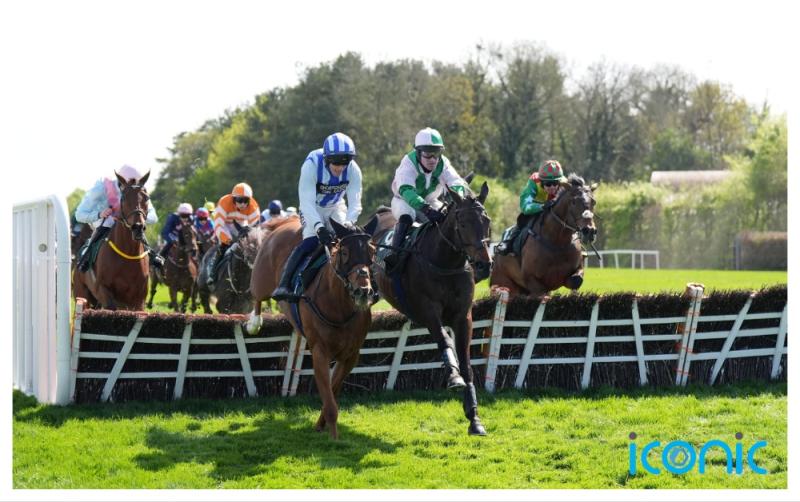 Ascending Lark swoops for Punchestown prize