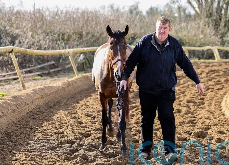 Hanlon set for late call on ground for Hewick at Punchestown