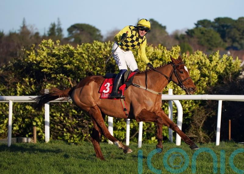 State Man expected to end excellent season on high in Punchestown Champion Hurdle