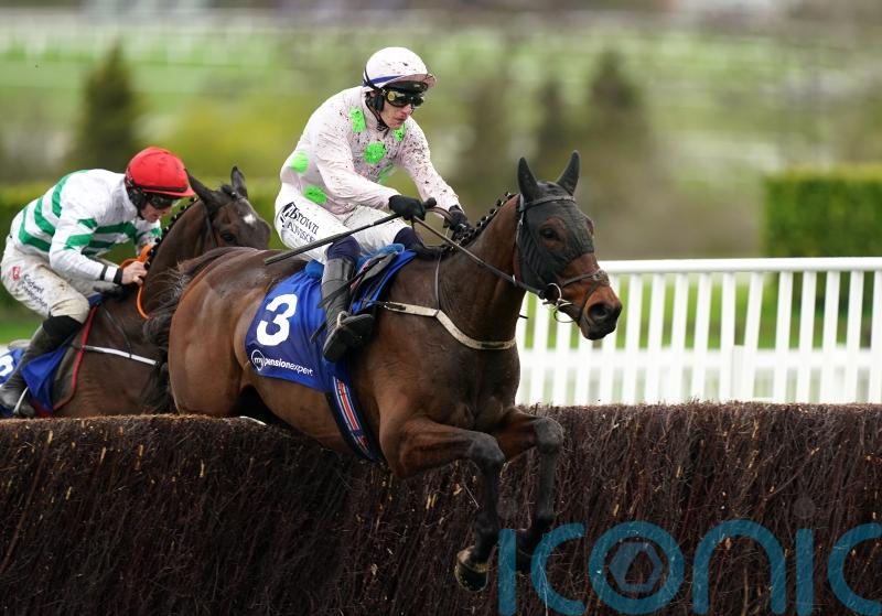 Punchestown and Cheltenham winner Gaelic Warrior could return at Fairyhouse 