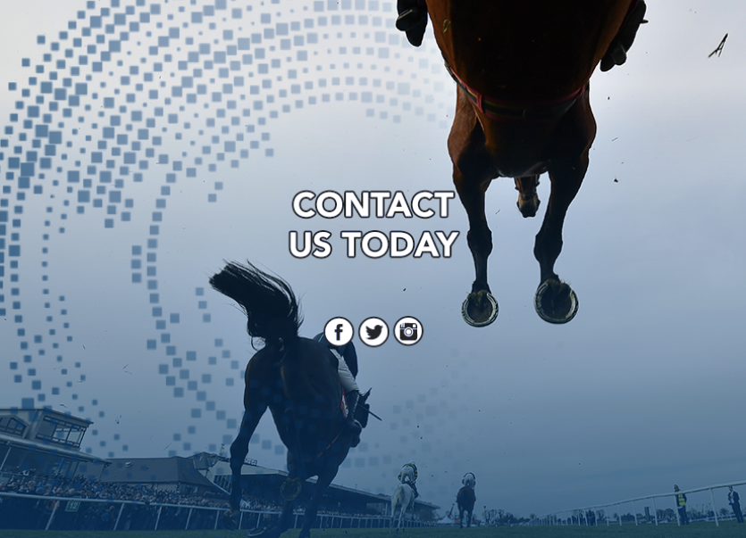 Contact Us Punchestown Live